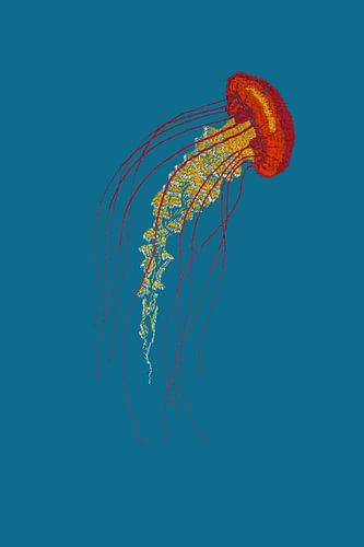 Stitches - Jellyfish by > VrijFormaat <