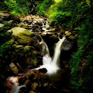 Waterfall in Austria  by Joost Lagerweij