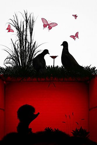 two pigeons on the roof