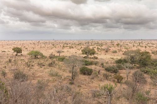 Landschap Zuid-Afrika