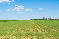 Lente landbouw van Achim Prill thumbnail