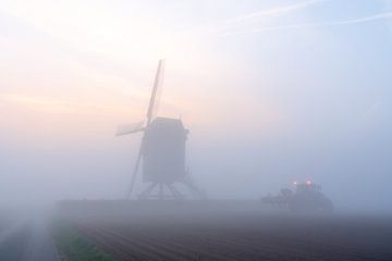 Ochtend mist aan de molen in het veld van Marcel Derweduwen