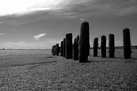 Groyne at low tide by Rolf Pötsch