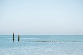 Zeelands Küste in Frieden von Studio Bosgra