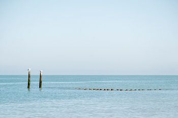La côte zélandaise en paix