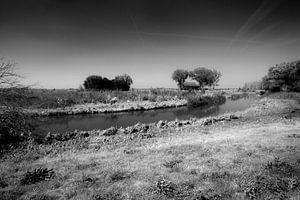 Natur und Kultur im Biesbosch