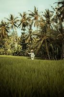 Agriculteur balinais