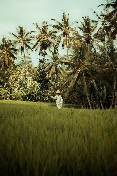 Balinese Farmer by visualsofroy