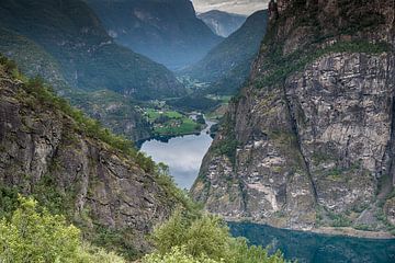 viewpoint aurland valley starts at mount geiteryggen and ends in Vassbygdi, near from aurland centre by ChrisWillemsen