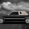 Ford Thunderbird Box Bird von aRi F. Huber