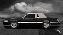 Ford Thunderbird Box Bird