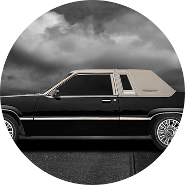 Ford Thunderbird Doosvogel