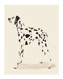 Pandc Dalmatiner von Jenny Liz Rome