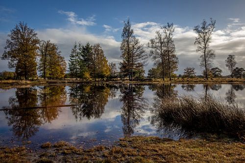 Appelscha en novembre