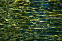 water green