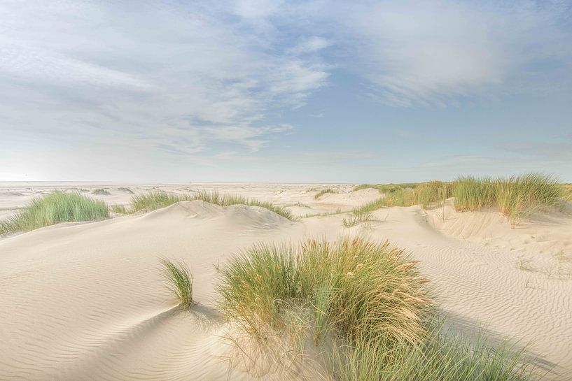 Blonde dunes Texel Hors by Adriaan Huys Fotograaf