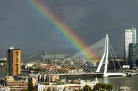Regenboog in Rotterdam van Michel van Kooten thumbnail