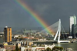 Rainbow in Rotterdam