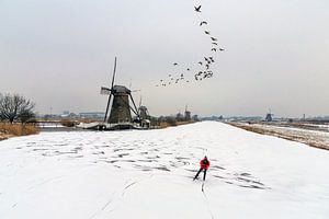 Winter in kinderdijk