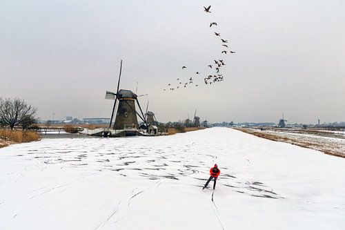 Winter in Kinderdijk