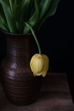 Eenzame gele tulp van Natalia Balanina