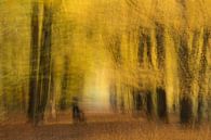 Herbst von Ingrid Van Damme fotografie Miniaturansicht