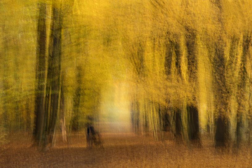 Herbst von Ingrid Van Damme fotografie