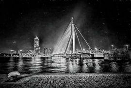 Erasmusbrug Rotterdam van Rene van Heerdt