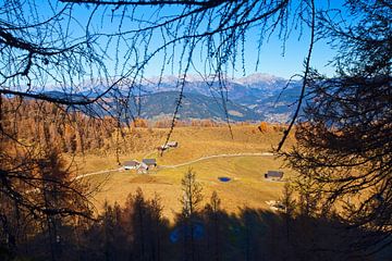 Herbstfenster auf der Lackenalm von Christa Kramer