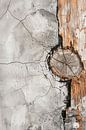 Concrete and wood by Digitale Schilderijen thumbnail