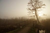 Small bridge in fog