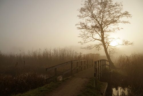 Brücke bei Nebel