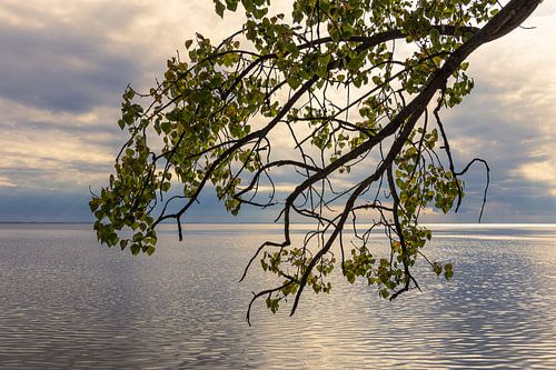 Zonsondergang op het Achterwasser bij Warthe op het eiland Usedom