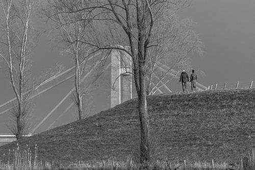 Prince Willem-Alexander Bridge special position
