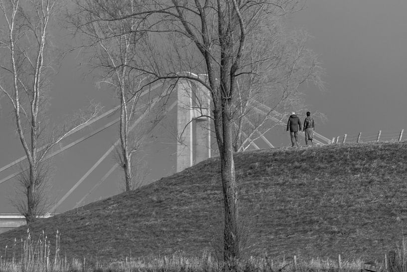 Position particulière du pont Prince Willem-Alexander par Bea Hoendervanger