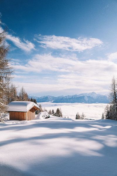 Winter Vibes by Hello Pompoyo
