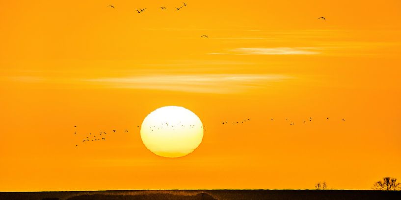 Zonsondergang boven de IJsselmeerdijk van Harrie Muis