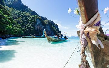 L'île aux singes sur Remy de Klein