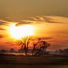 De zon gaat op boven de Biesbosch - Gouden moment van Jan Jansen Natuurfotografie