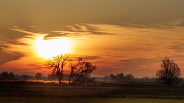 De zon gaat op boven de Biesbosch - Gouden moment