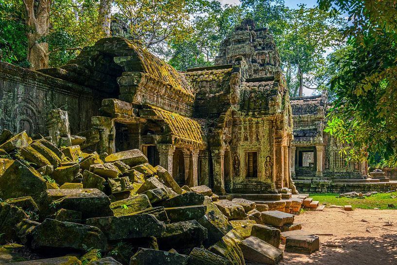 Jungle temple. Темпле Ван. Храм к Ван Пинъаню. Где храм джунглей.