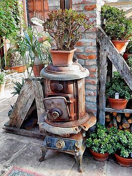 Old Wood Stove With Succulents