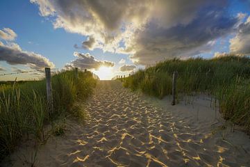 Dune, sable et soleil sur Dirk van Egmond