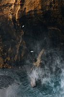 Vögel im Nebel des Wasserfalls Skógafoss