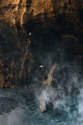 Birds in the mist of Skógafoss waterfall by Elise van Gils