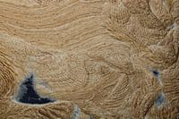 Tanz der Texturen