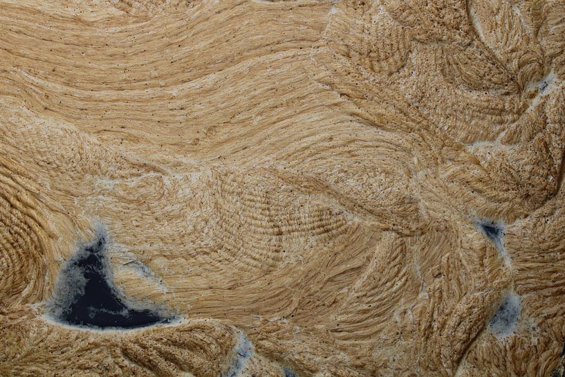 Tanz der Texturen von Patrick Teeling