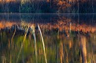 Colorful spring reflections at the Oisterwijkse Vennen. by Jos Pannekoek thumbnail