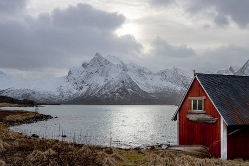 Schuurtje aan een baai op de Lofoten