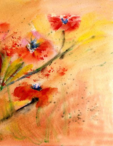 Poppy